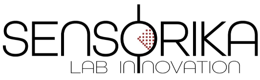 Sensorika Lab Innovation | Detección y evaluación de la corrosión en estructuras